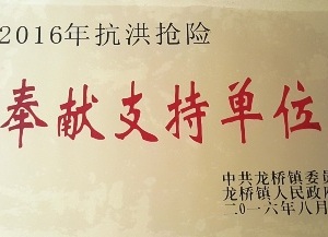 2016年镇赏金船长-抗洪抢险